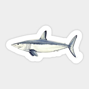 Mako shark Sticker